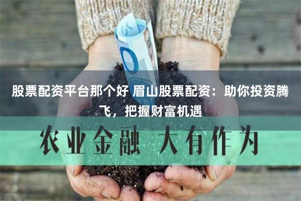 股票配资平台那个好 眉山股票配资：助你投资腾飞，把握财富机遇