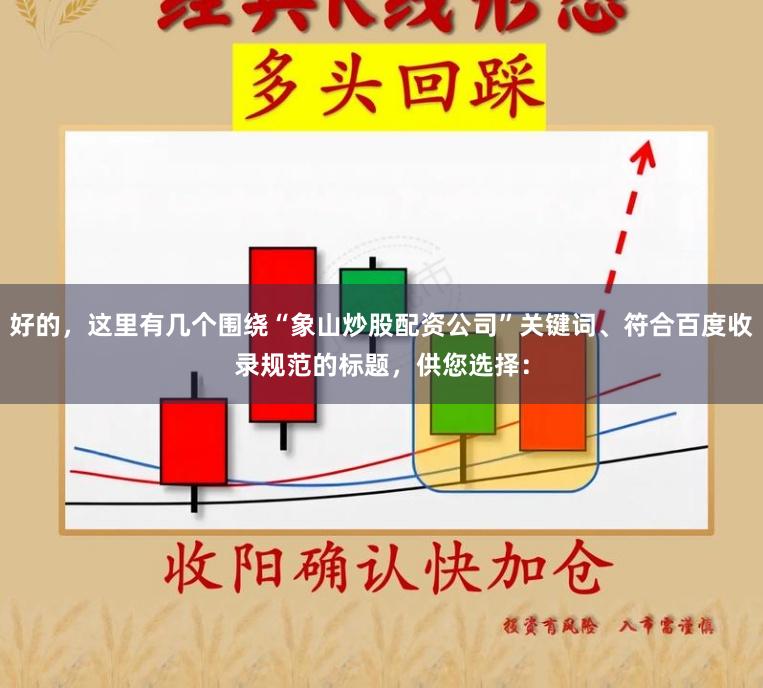 好的，这里有几个围绕“象山炒股配资公司”关键词、符合百度收录规范的标题，供您选择：